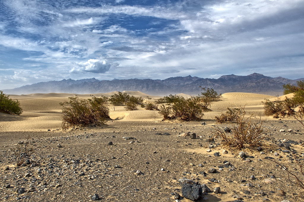 Migration, Environment & Climate Change